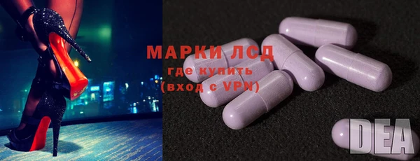 дживик Ельня
