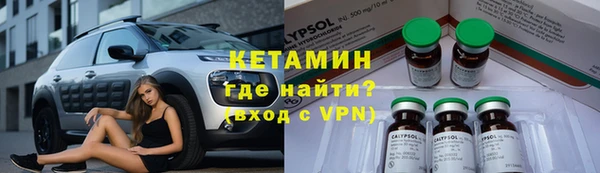 дживик Ельня