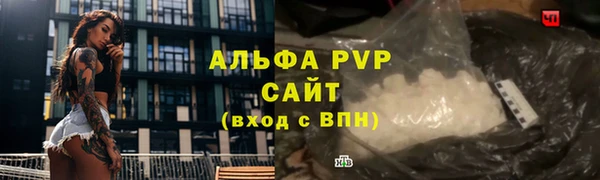 дживик Ельня