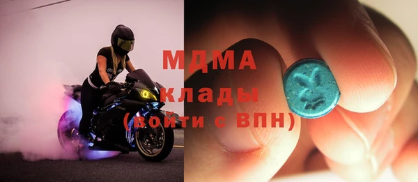 дживик Ельня