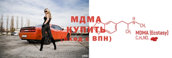 дживик Ельня