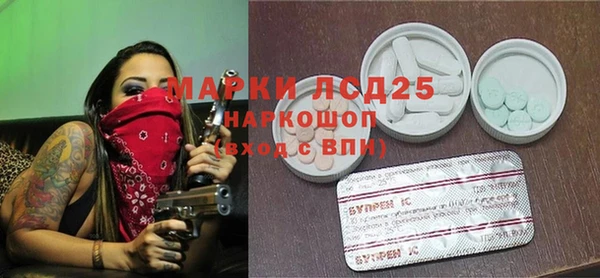 СК Елабуга