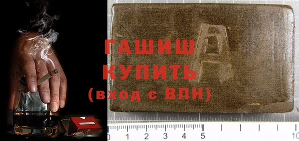 дживик Ельня