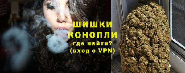 дживик Ельня