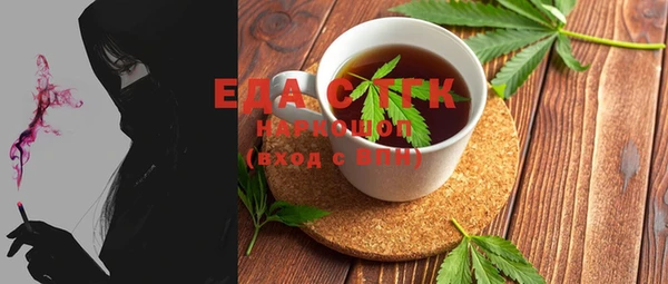 дживик Ельня