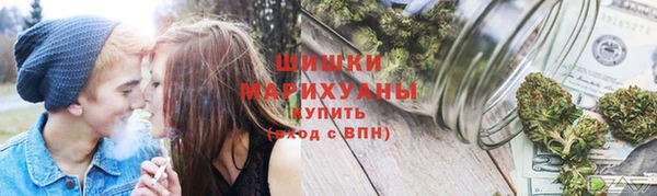 дживик Ельня