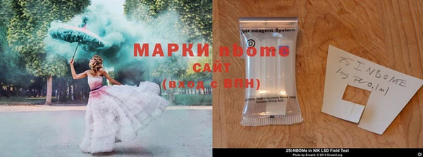 СК Елабуга