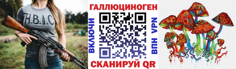 Купить  Куровское  Псилоцибиновые грибы мухоморы 